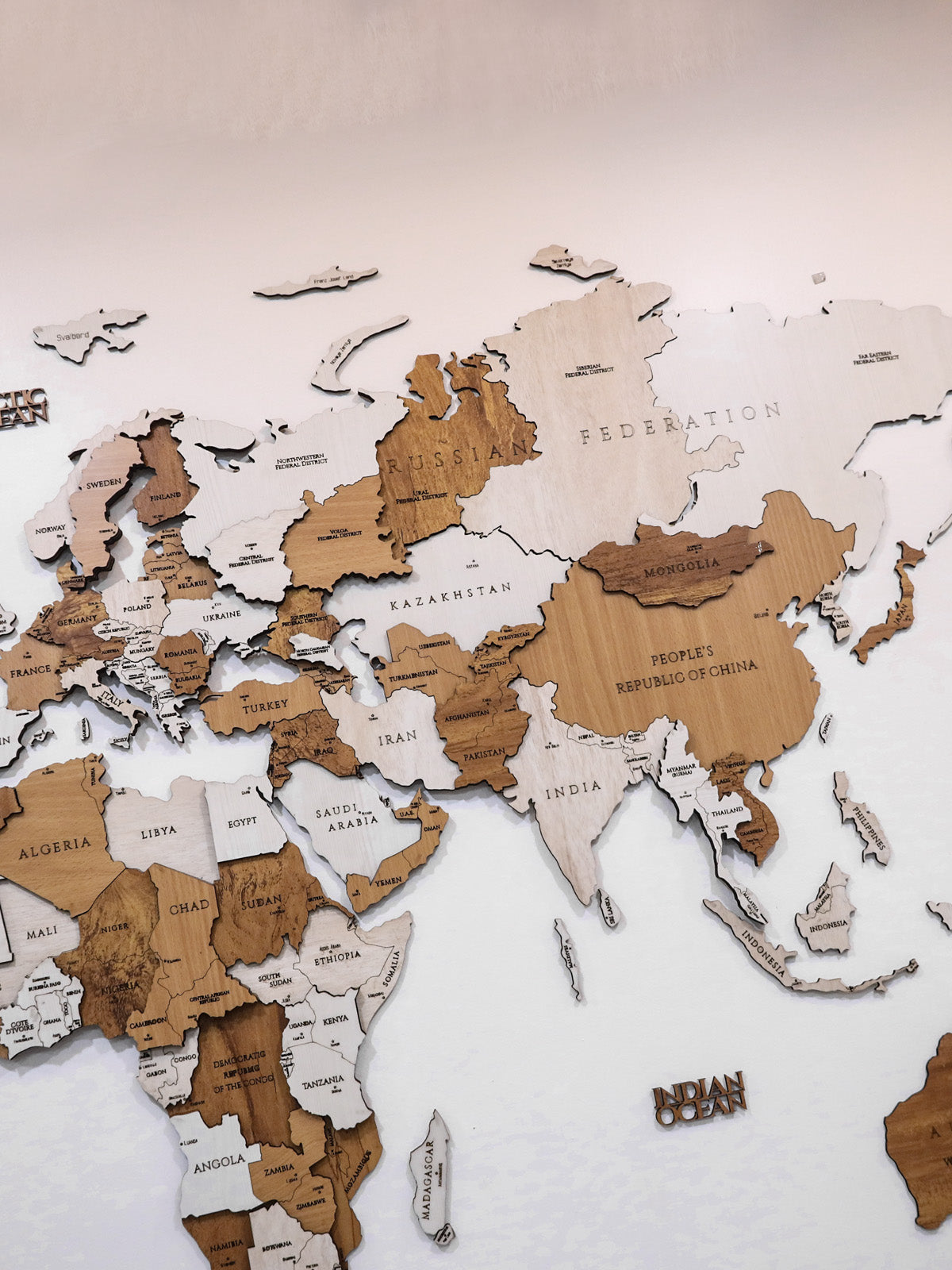3D Wooden World Map