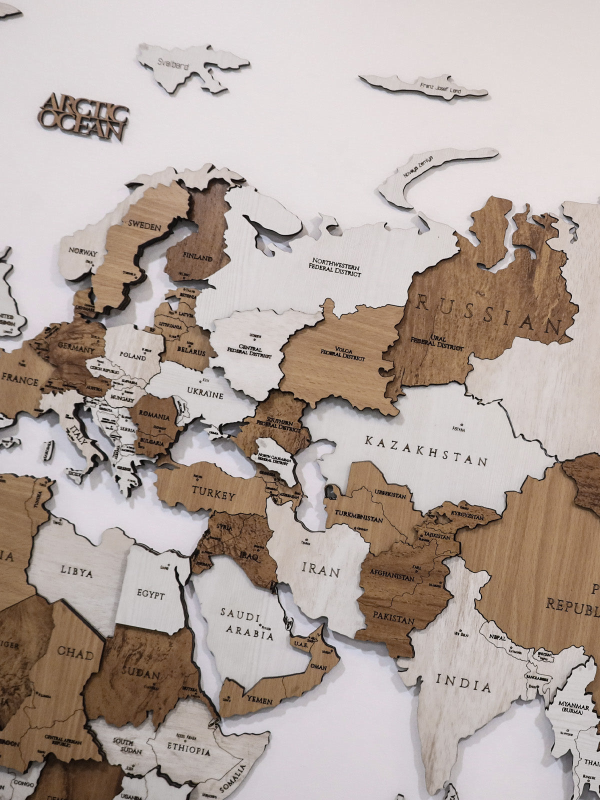 3D Wooden World Map