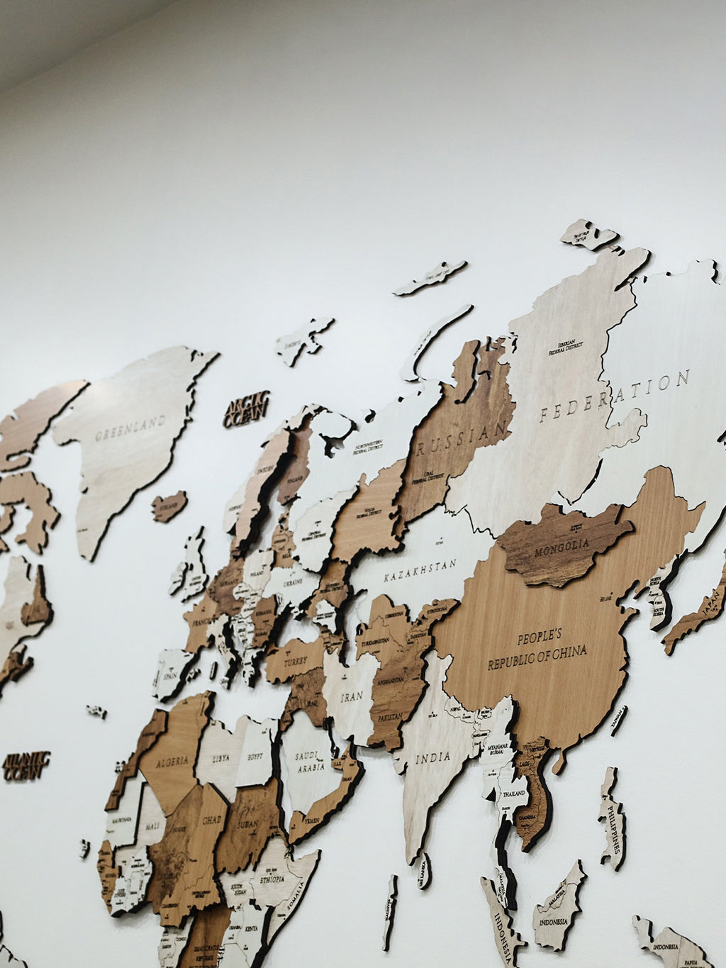 3D Wooden World Map